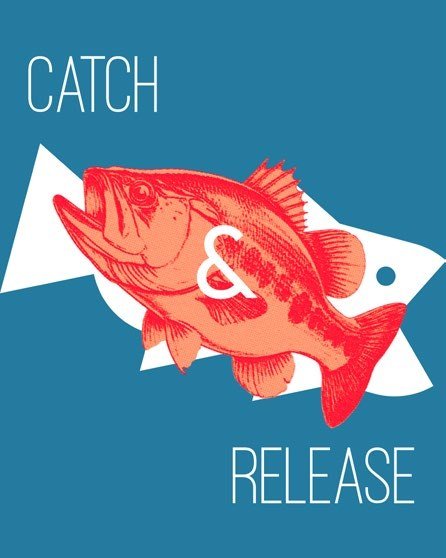 Manifesto Catch & Release, versione blu con persico rosso